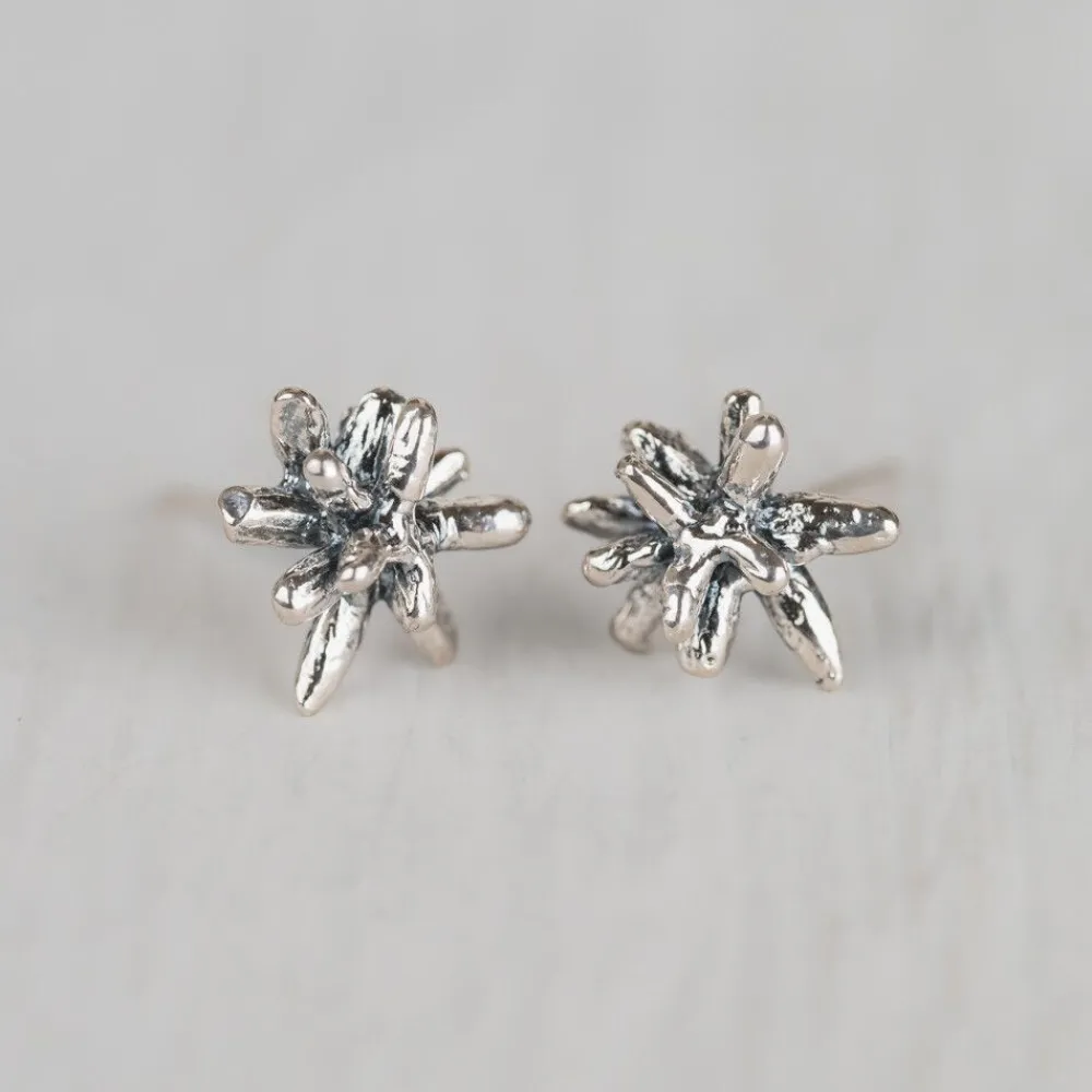 Jéh Jewels Ohrstecker | Silver-Ohrknopf Feuerwerk Silber oxy