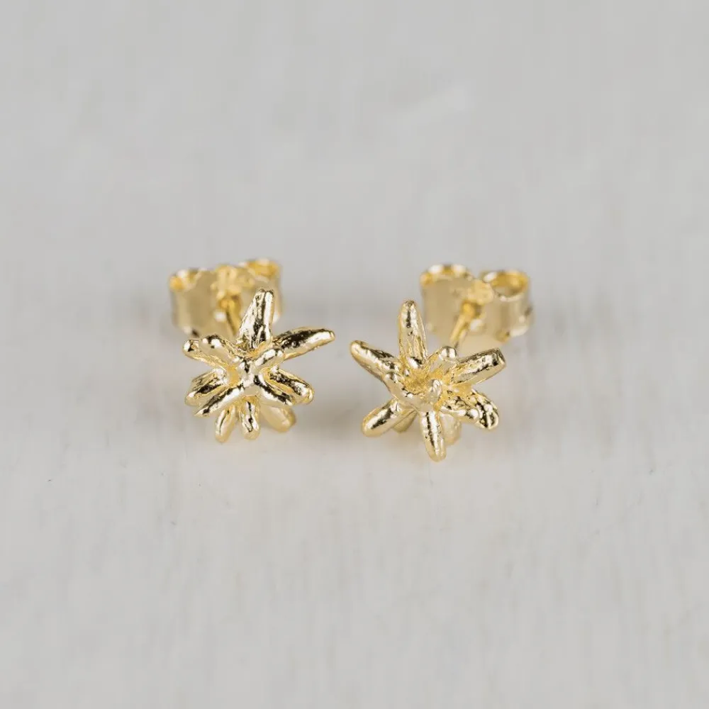 Jéh Jewels Touch Of Gold | Ohrstecker-Ohrstecker Feuerwerk vergoldet